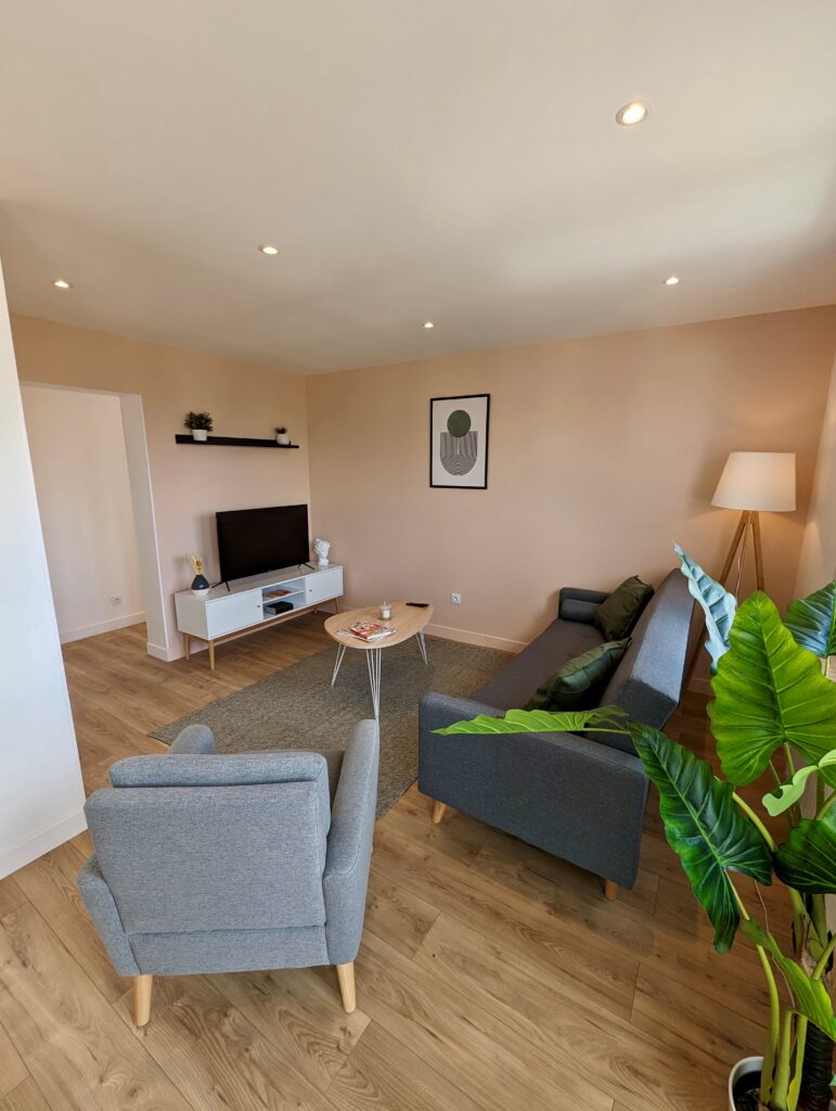 Salon confortable pour une colocation dans un T4