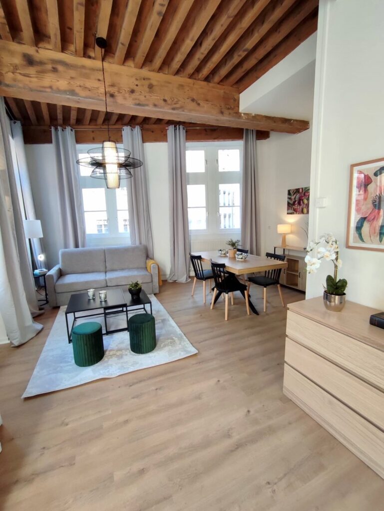 Studio très lumineux avec canapé-lit